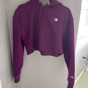 Champion Cropped Hoodie